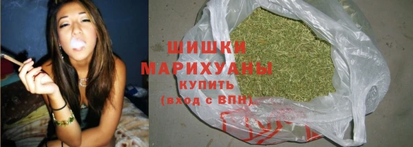 сатива Краснослободск