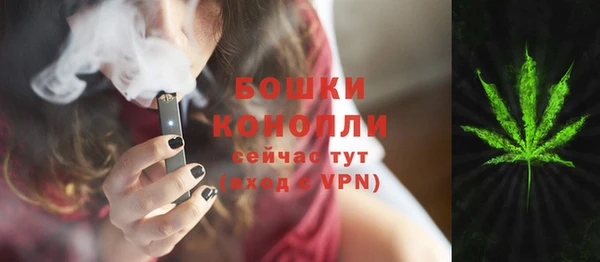стаф Кулебаки